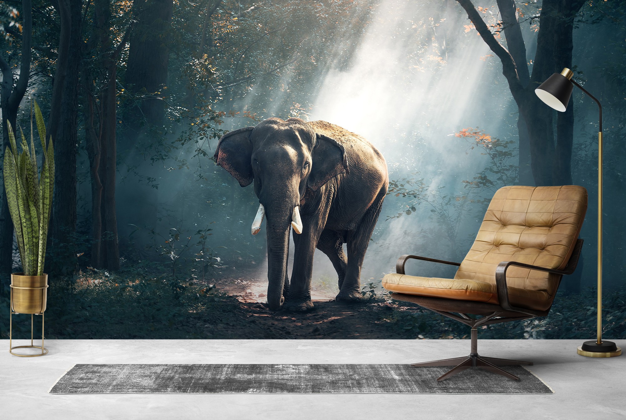 Mac Wallpapers — Apple Wallpapers Funny Elephant HD Animals... Desktop  Background