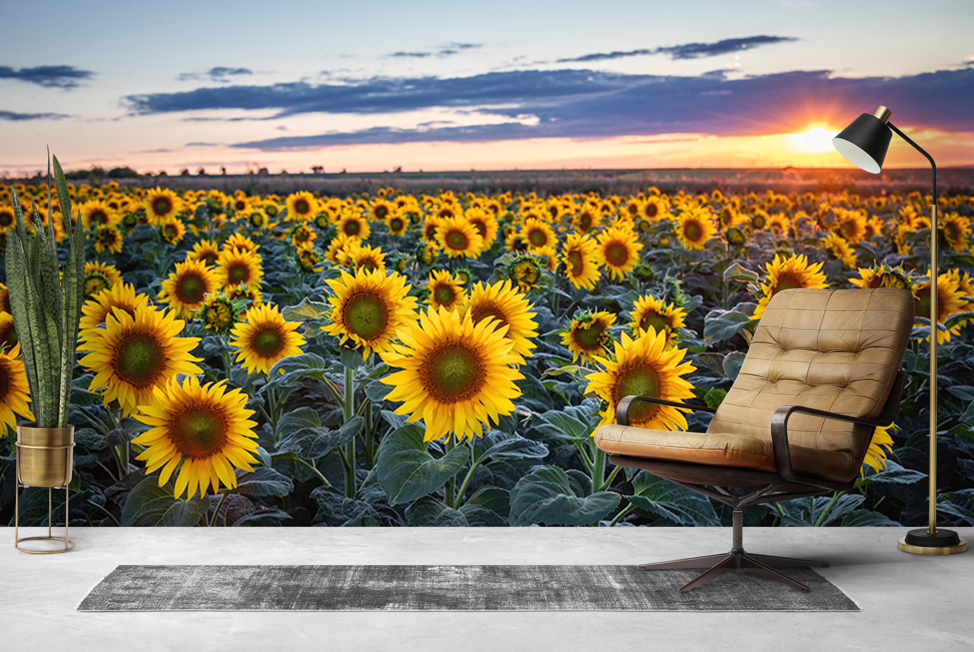 Sunflower Field IV Wall Mural by Steffen Gierok