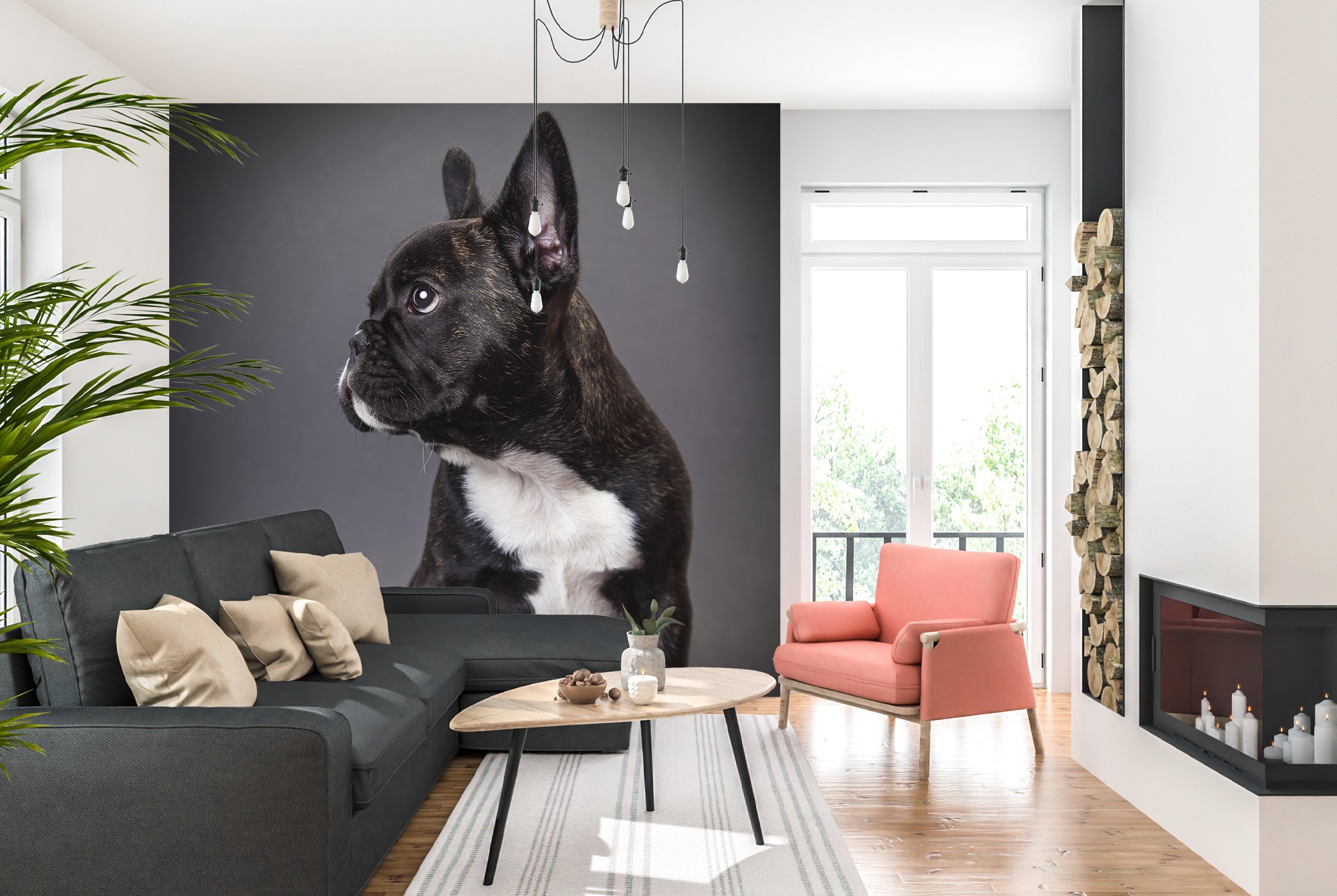 Französischer Bulldog Hund Fototapete Nettes Tier Tapete Schlafzimmer