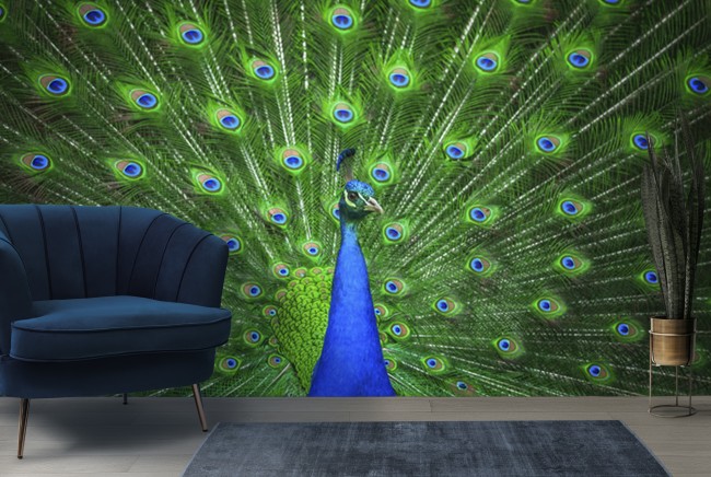 Murales Y Vinilos Cielo Azul Y Nubes Blancas Águila 3D Gran Techo Mural  Papel Tapiz Sala De Estar Dormitorio Decoración Para El Hogar Diseño 3D  Techo