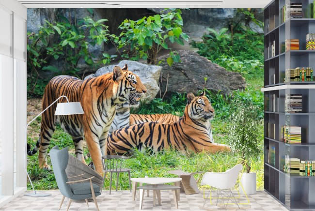Tigre 3D Fotomurali,Animali Selvaggi 3D Carta Da Parati Fotomurali