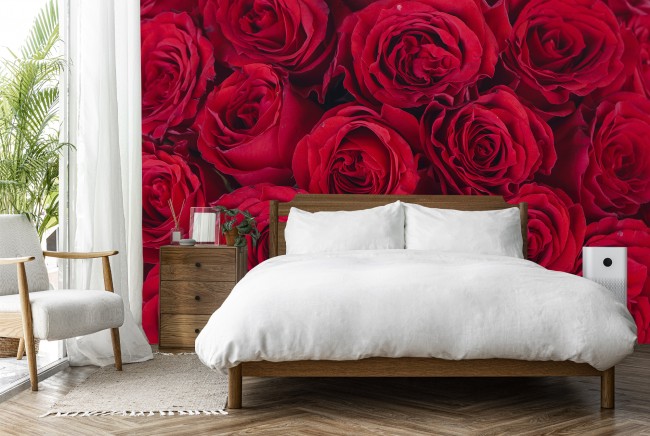 Red Roses Wallpaper Wall Mural