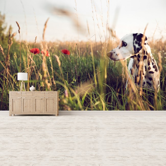 Dalmatian (Camel) – indigodesignco