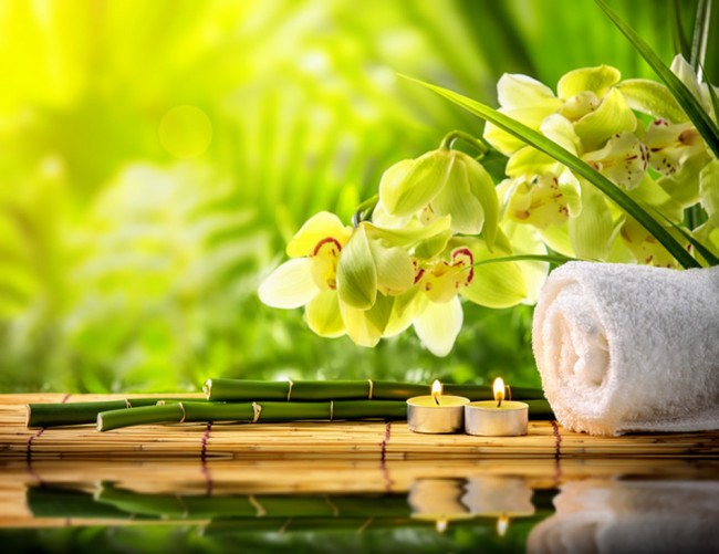 orchid spa wallpaper