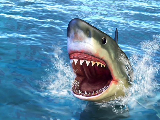 shark attack wallpaper