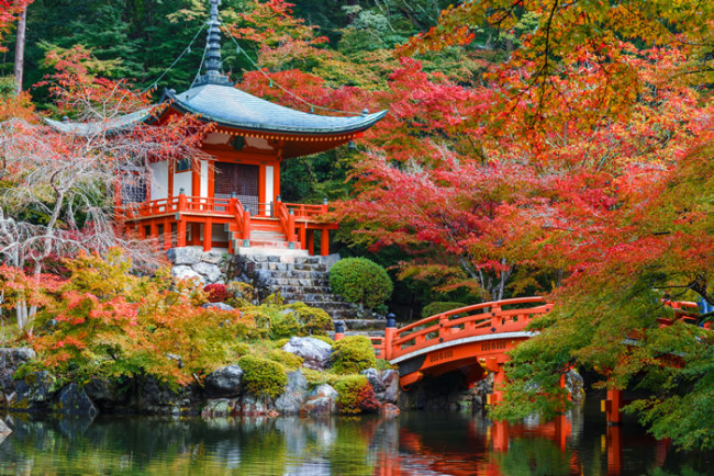 japan temple wall mural